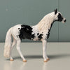 Albeit OOAK Black Tobiano Andalusian Chip By Jess Hamill EQ24