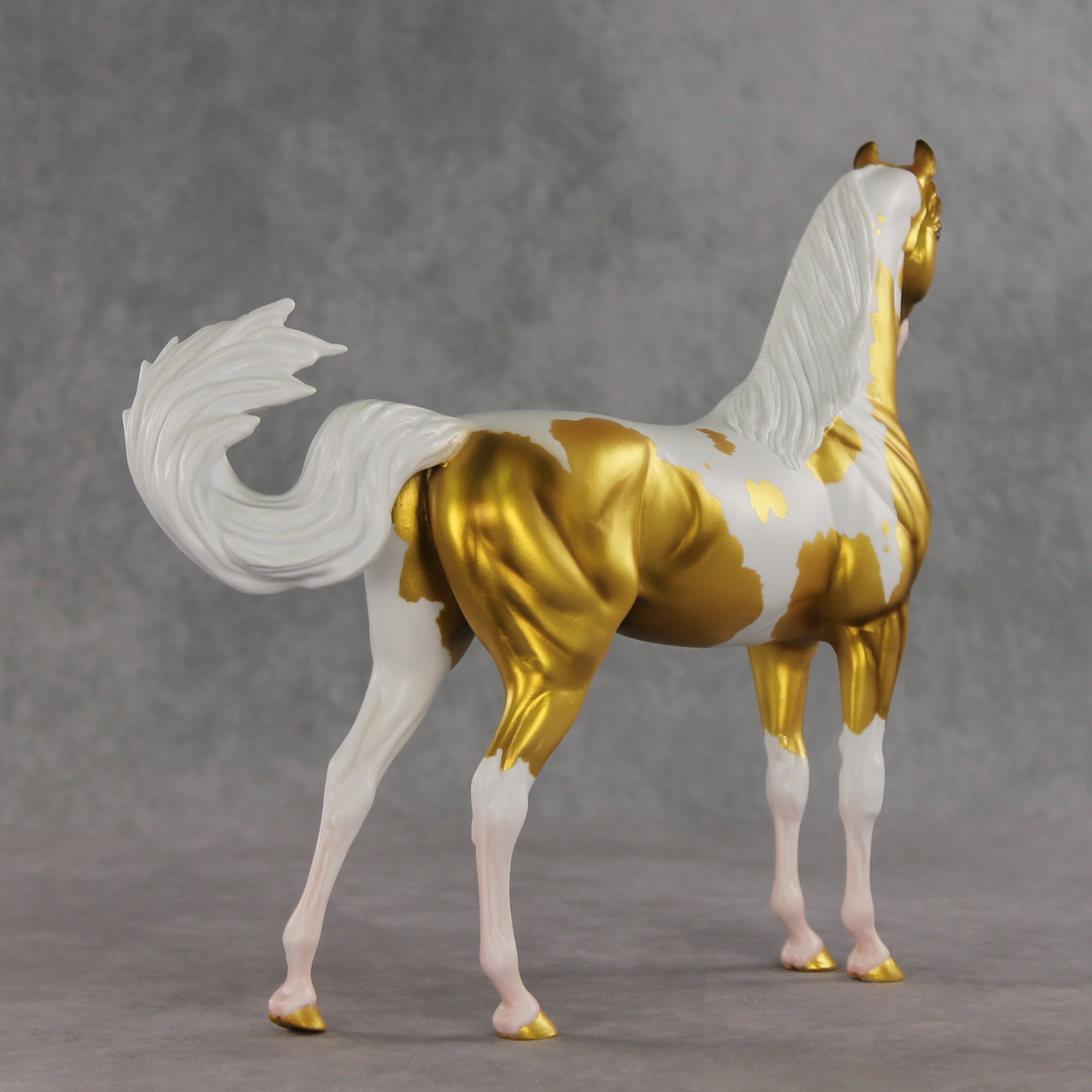 Going for Gold EFCM LE-5 Arabian Stallion by Melanie Miller TO26