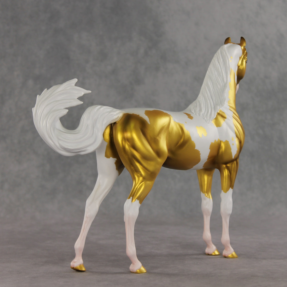 Going for Gold EFCM LE-5 Arabian Stallion by Melanie Miller TO26