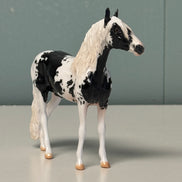 Albeit OOAK Black Tobiano Andalusian Chip By Jess Hamill EQ24