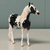 Albeit OOAK Black Tobiano Andalusian Chip By Jess Hamill EQ24