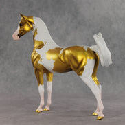 Going for Gold EFCM LE-5 Arabian Stallion by Melanie Miller TO26
