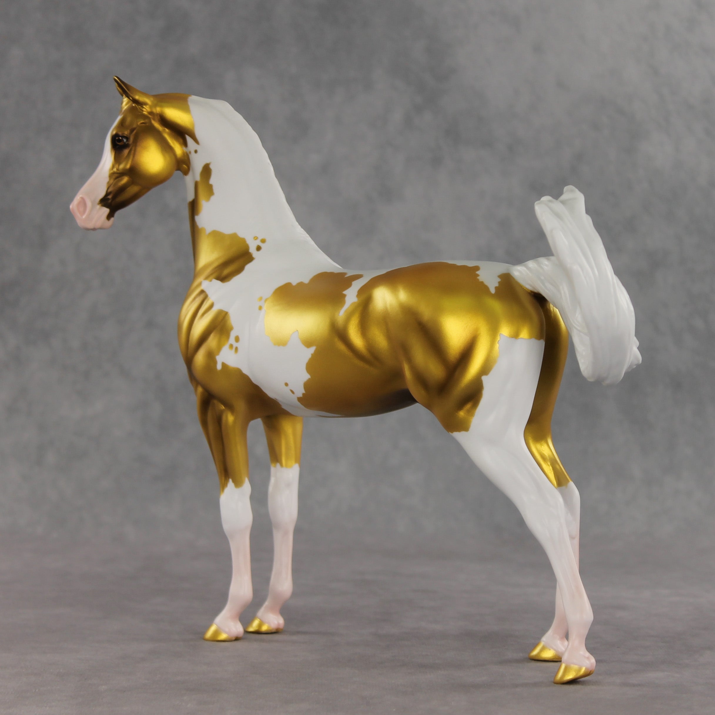 Going for Gold EFCM LE-5 Arabian Stallion by Melanie Miller TO26