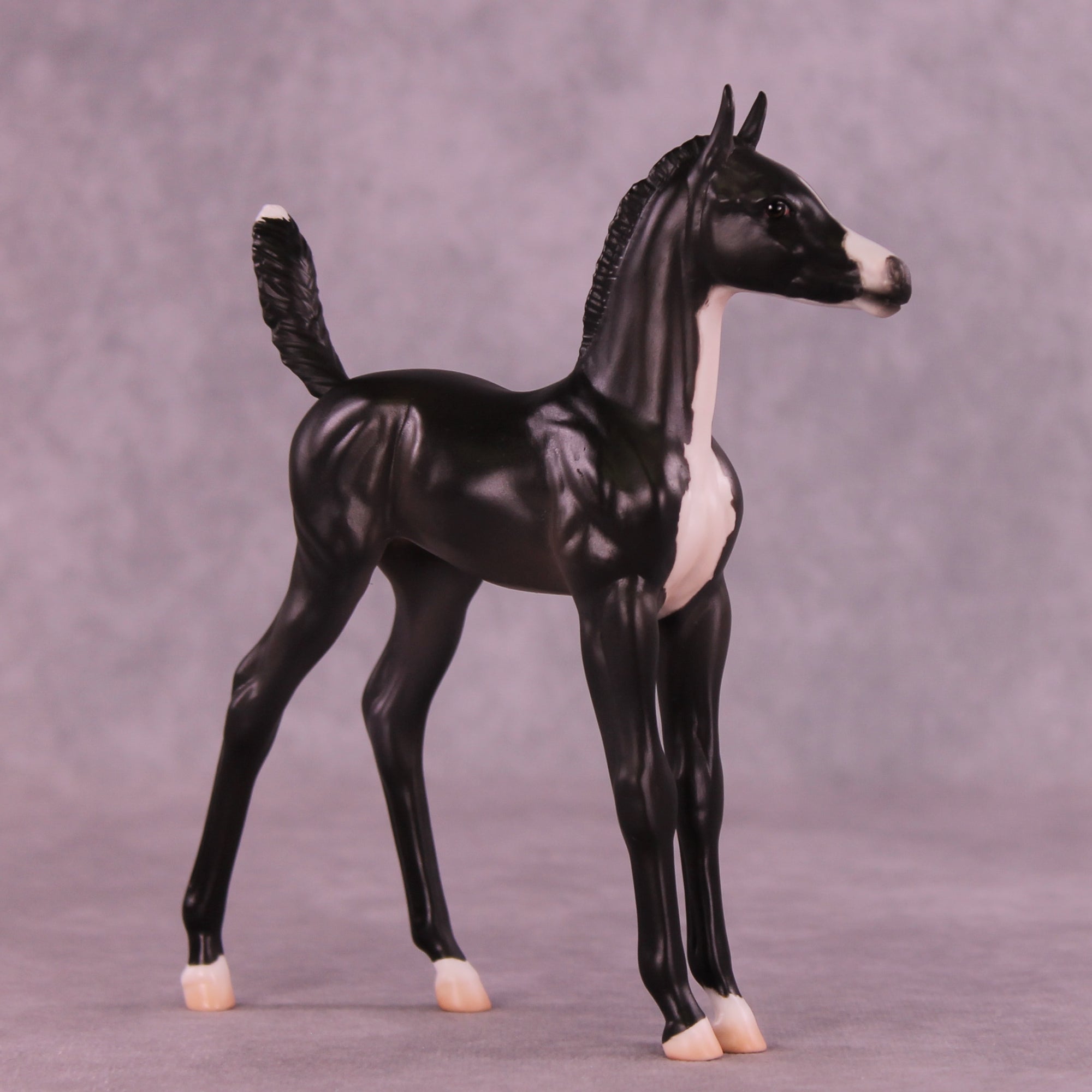 Alice LE-5 Arabian Foal by Jess Hamill MS25