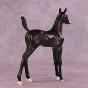 Alice LE-5 Arabian Foal by Jess Hamill MS25