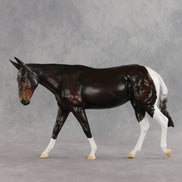 Gallivant LE-15 FCM Large Mule by Anna Rieck and Carissa Mathews PFP26