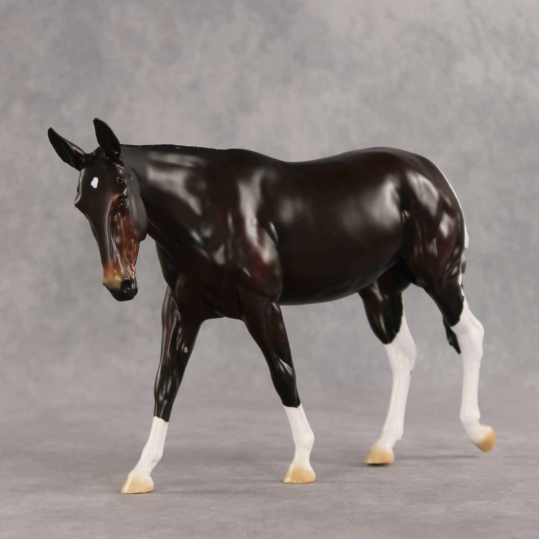 Gallivant LE-15 FCM Large Mule by Anna Rieck and Carissa Mathews PFP26
