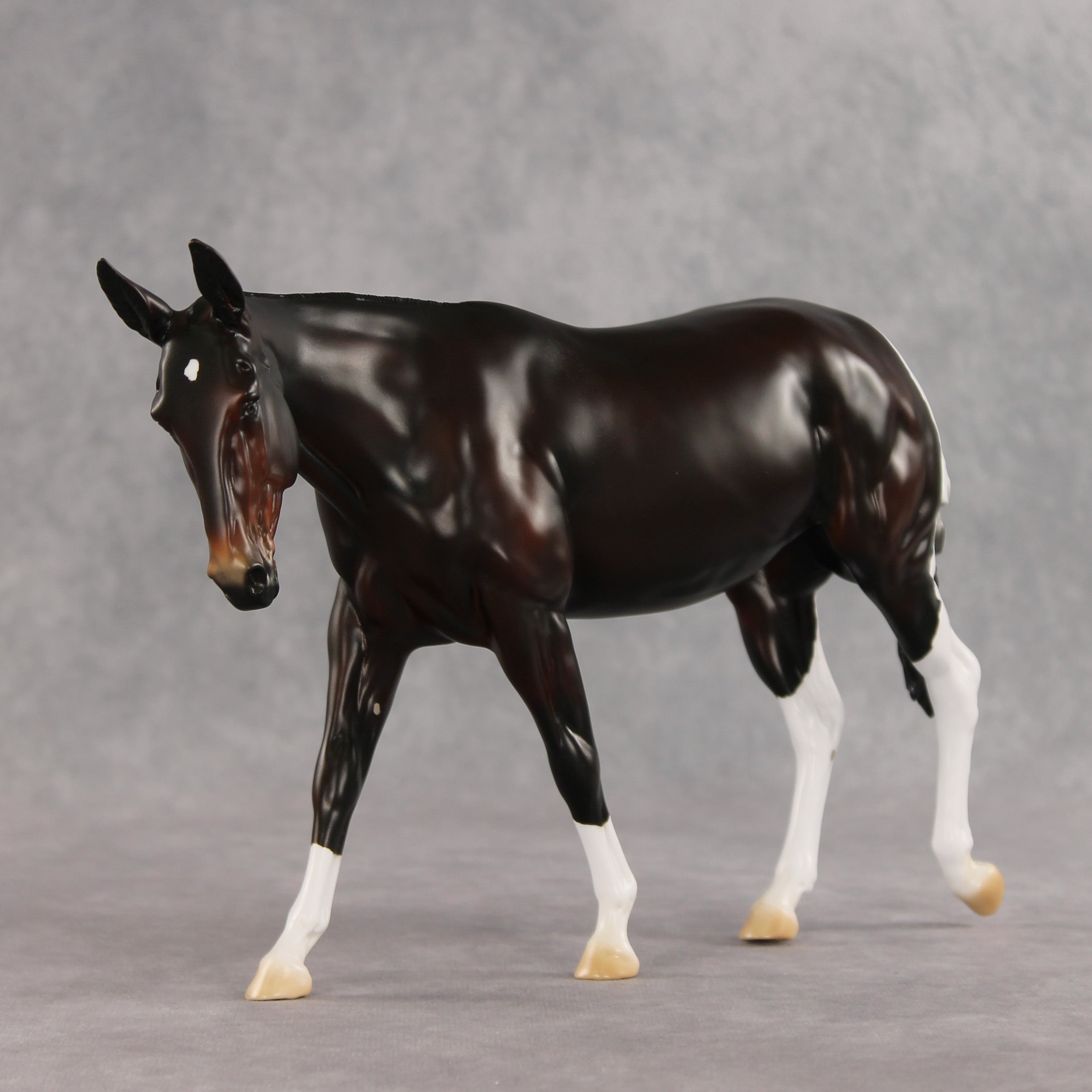 Gallivant LE-15 FCM Large Mule by Anna Rieck and Carissa Mathews PFP26