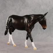 Gallivant LE-15 FCM Large Mule by Anna Rieck and Carissa Mathews PFP26