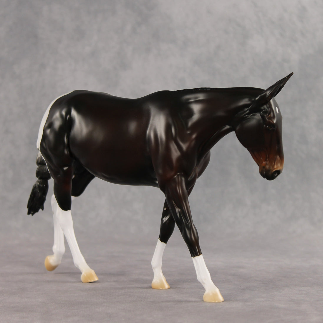Gallivant LE-15 FCM Large Mule by Anna Rieck and Carissa Mathews PFP26