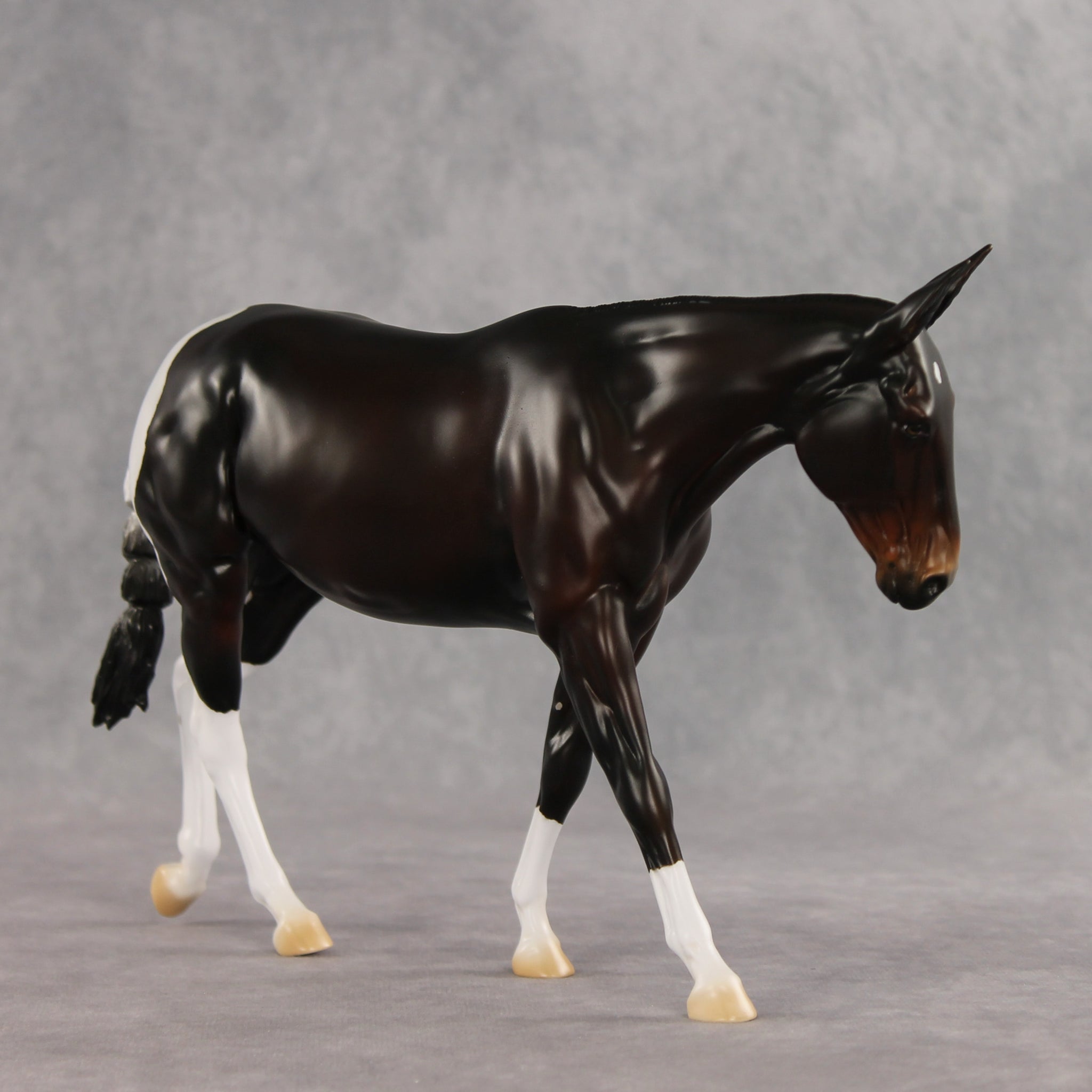 Gallivant LE-15 FCM Large Mule by Anna Rieck and Carissa Mathews PFP26