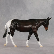 Gallivant LE-15 FCM Large Mule by Anna Rieck and Carissa Mathews PFP26