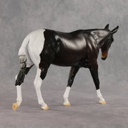 Gallivant LE-15 FCM Large Mule by Anna Rieck and Carissa Mathews PFP26