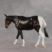 Gallivant LE-15 FCM Large Mule by Anna Rieck and Carissa Mathews PFP26