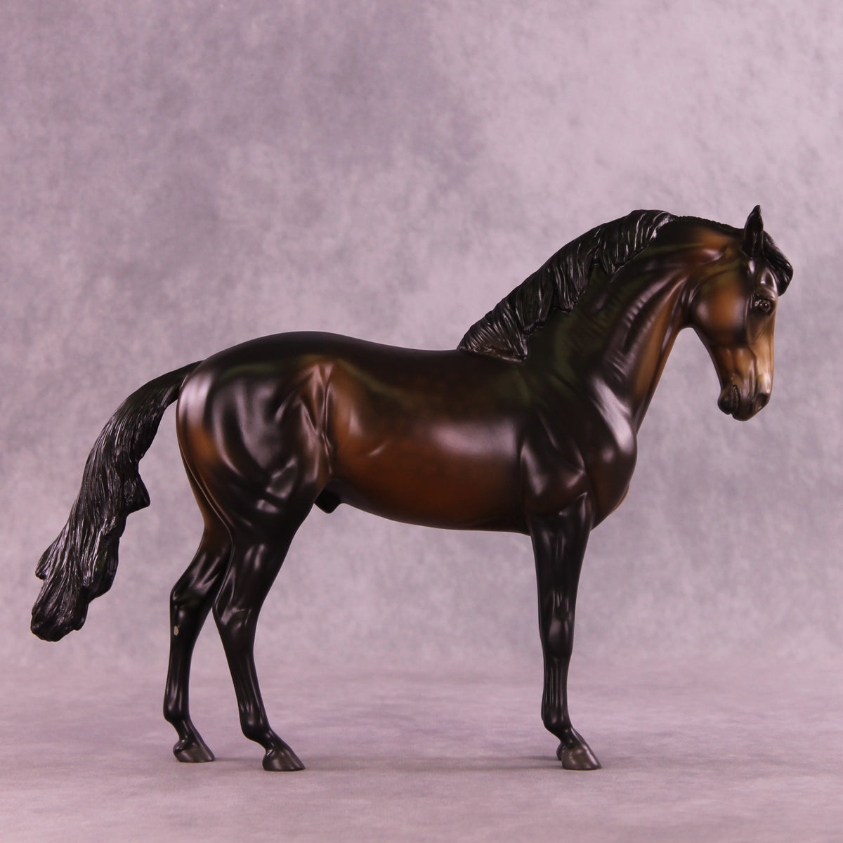 Starman OOAK FCM Andalusian by Anna Rieck DDOOAKs25