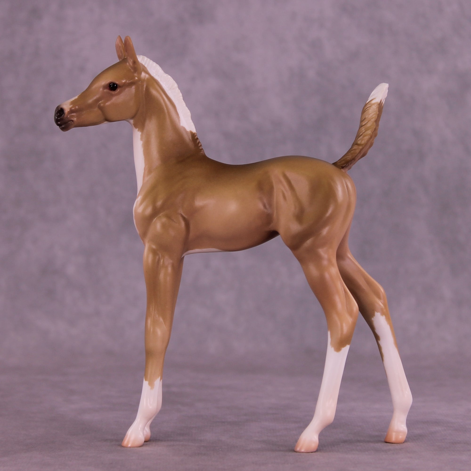 Ruth LE-5 Arabian Foal by Jess Hamill MS25