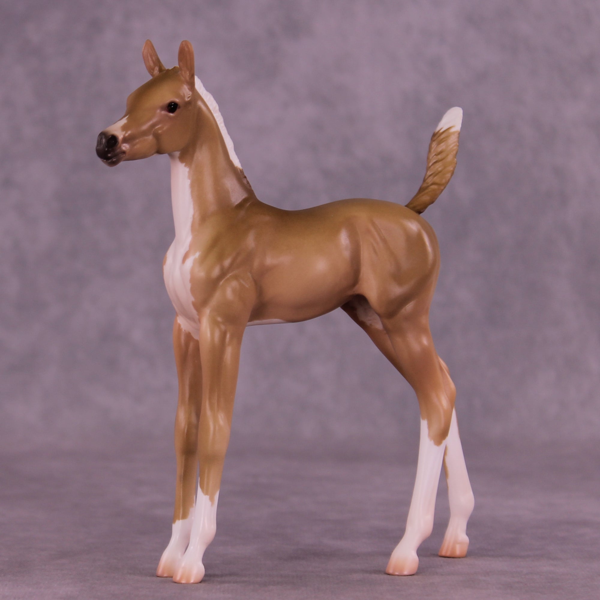 Ruth LE-5 Arabian Foal by Jess Hamill MS25