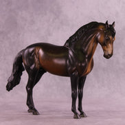 Starman OOAK FCM Andalusian by Anna Rieck DDOOAKs25