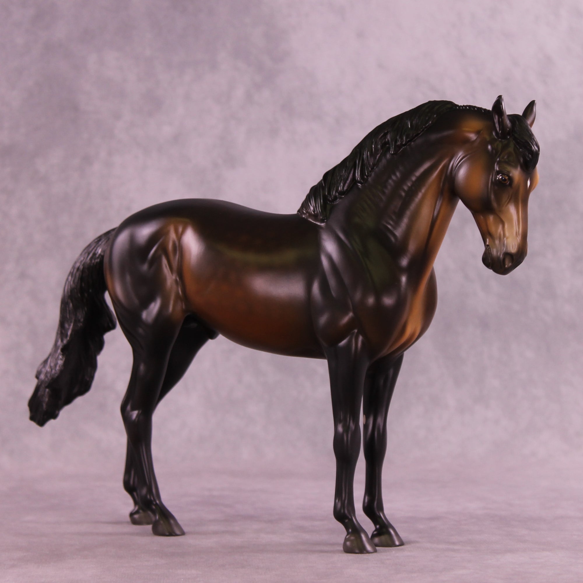 Starman OOAK FCM Andalusian by Anna Rieck DDOOAKs25