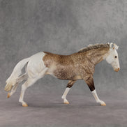 Let's Go Dutch OOAK FCM Remington by Ashley Palmer DDOOAKs26