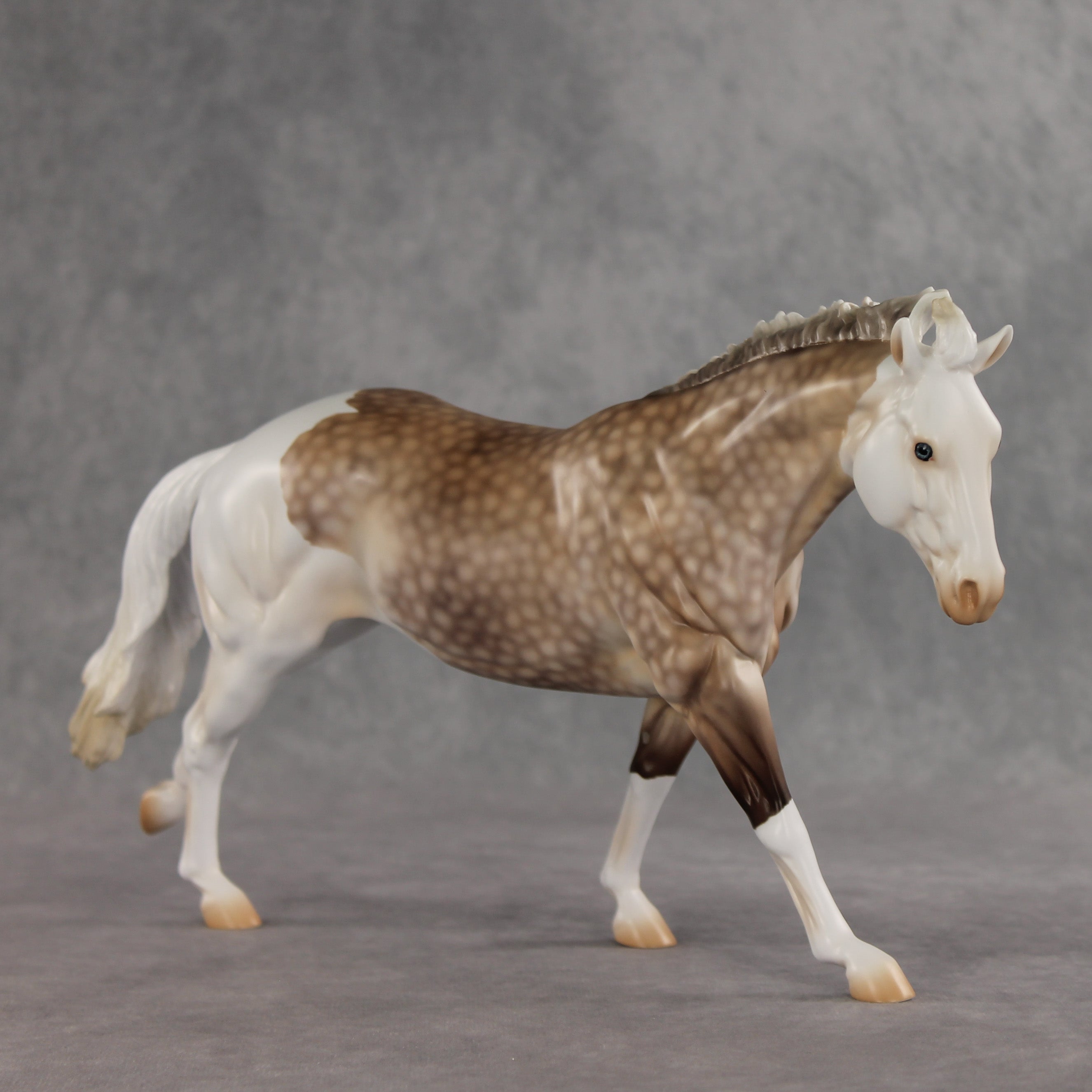 Let's Go Dutch OOAK FCM Remington by Ashley Palmer DDOOAKs26