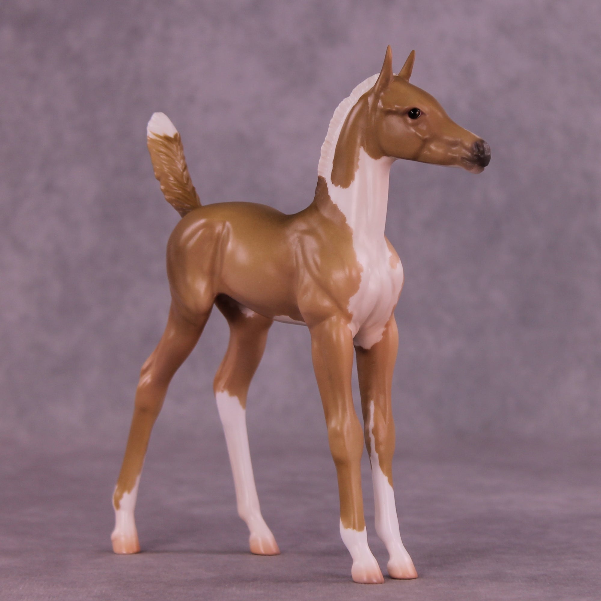 Ruth LE-5 Arabian Foal by Jess Hamill MS25