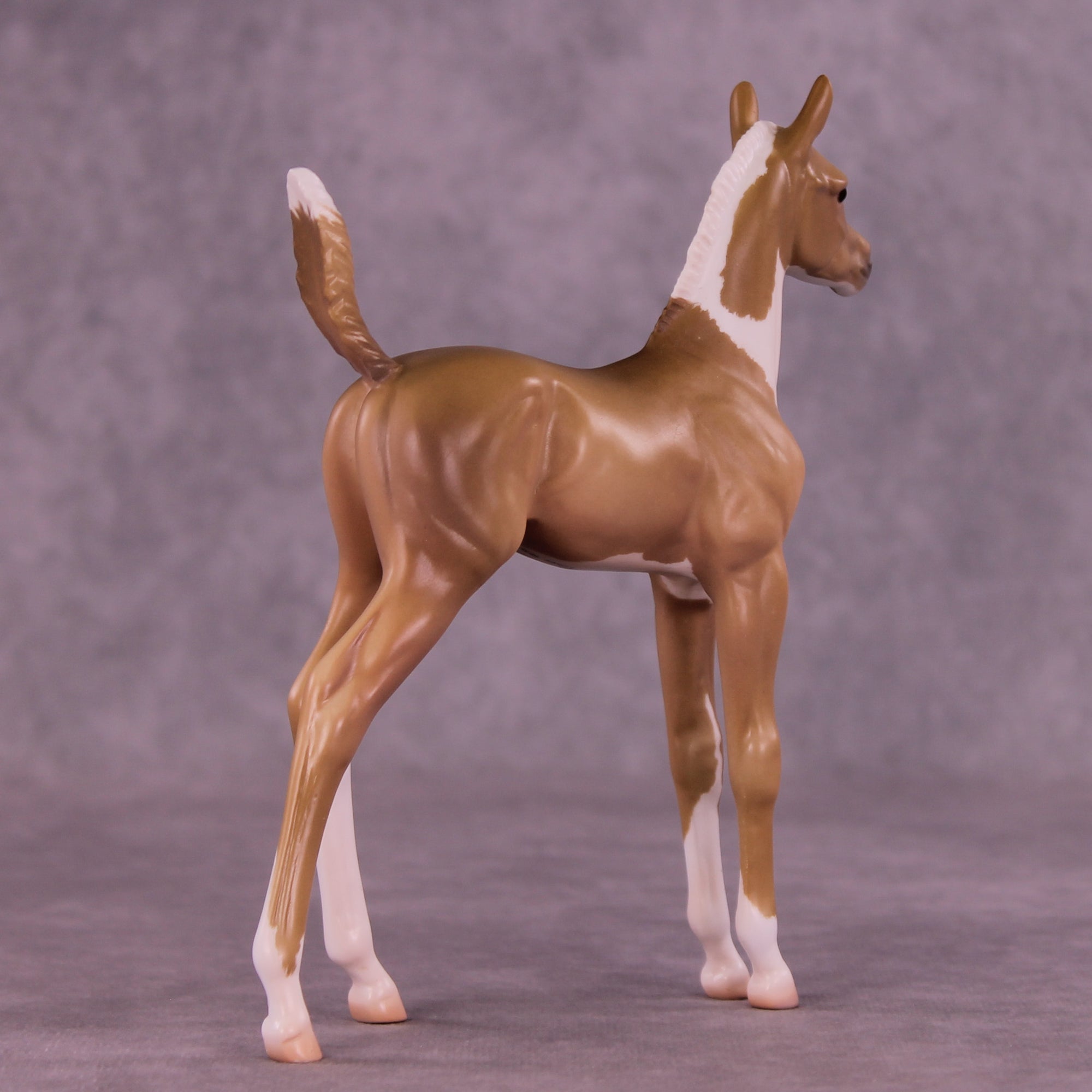 Ruth LE-5 Arabian Foal by Jess Hamill MS25