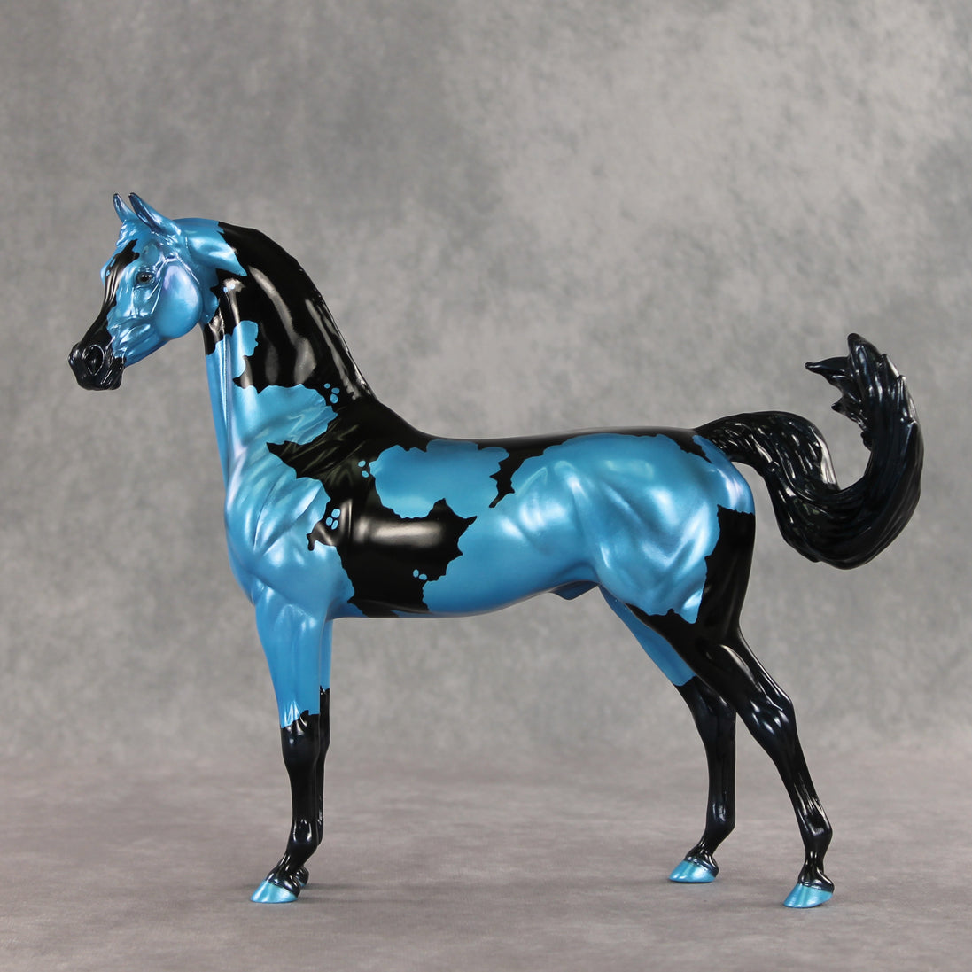 Betting on Blue EFCM OOAK Arabian Stallion by Melanie Miller TO26