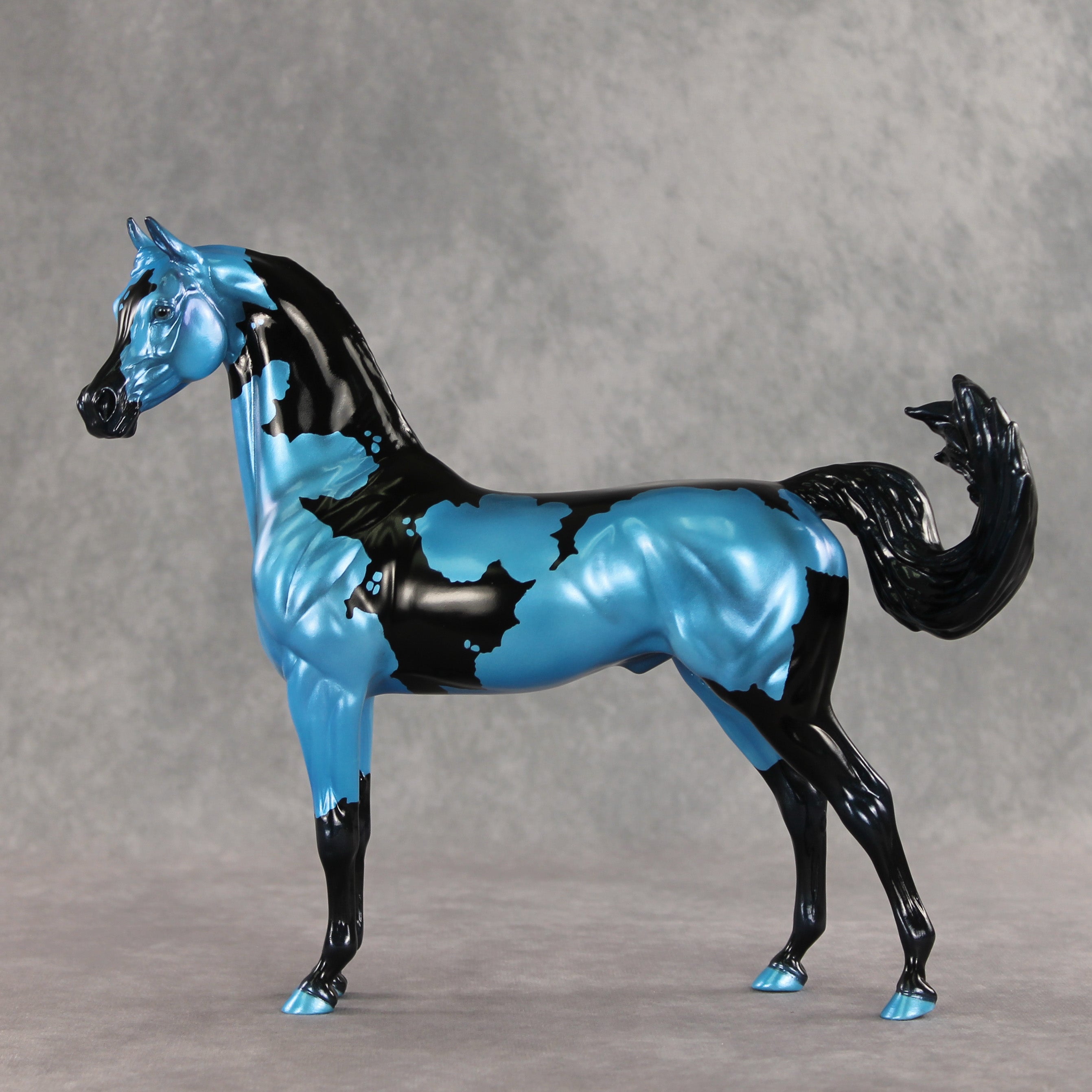 Betting on Blue EFCM OOAK Arabian Stallion by Melanie Miller TO26