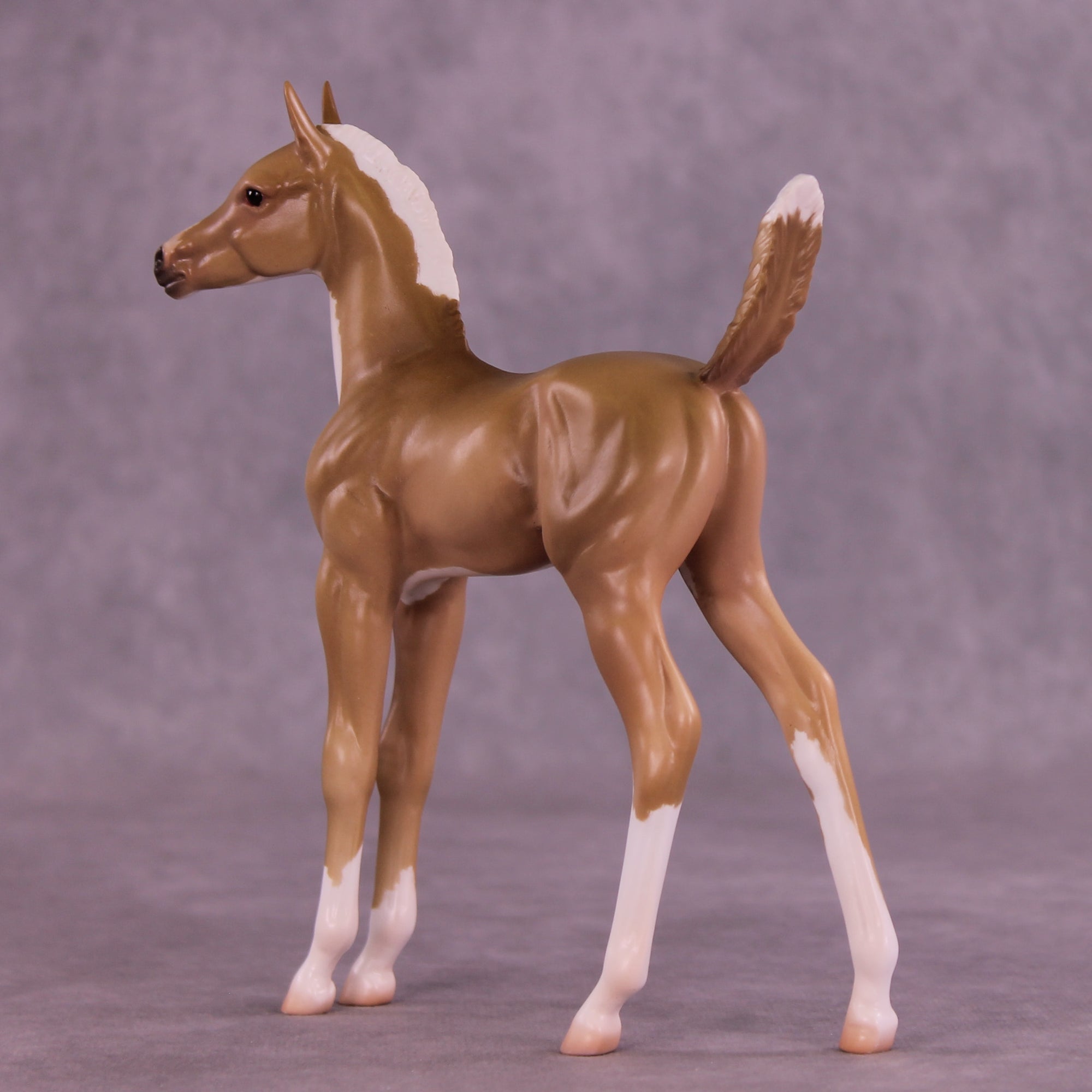 Ruth LE-5 Arabian Foal by Jess Hamill MS25