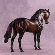 Starman OOAK FCM Andalusian by Anna Rieck DDOOAKs25