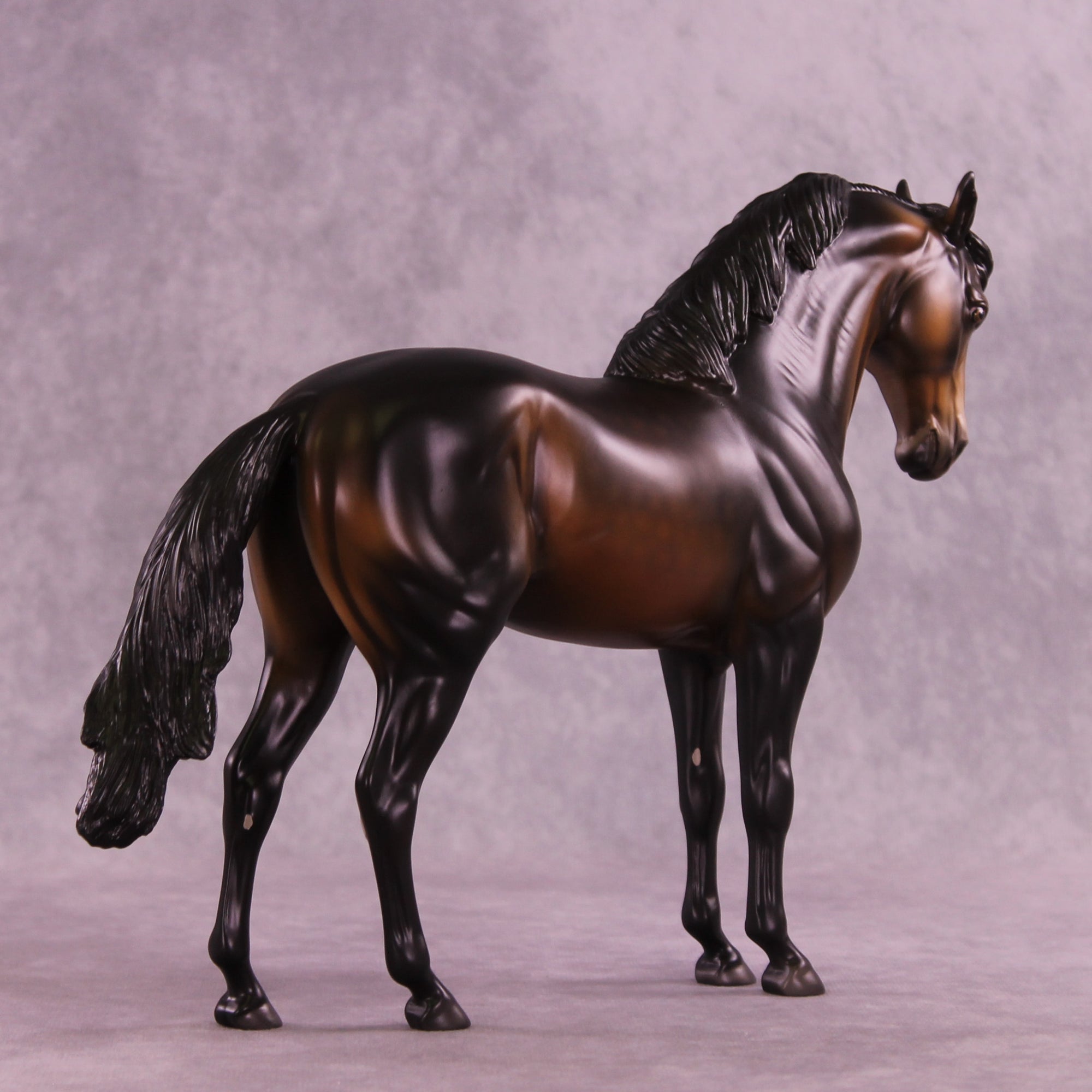 Starman OOAK FCM Andalusian by Anna Rieck DDOOAKs25