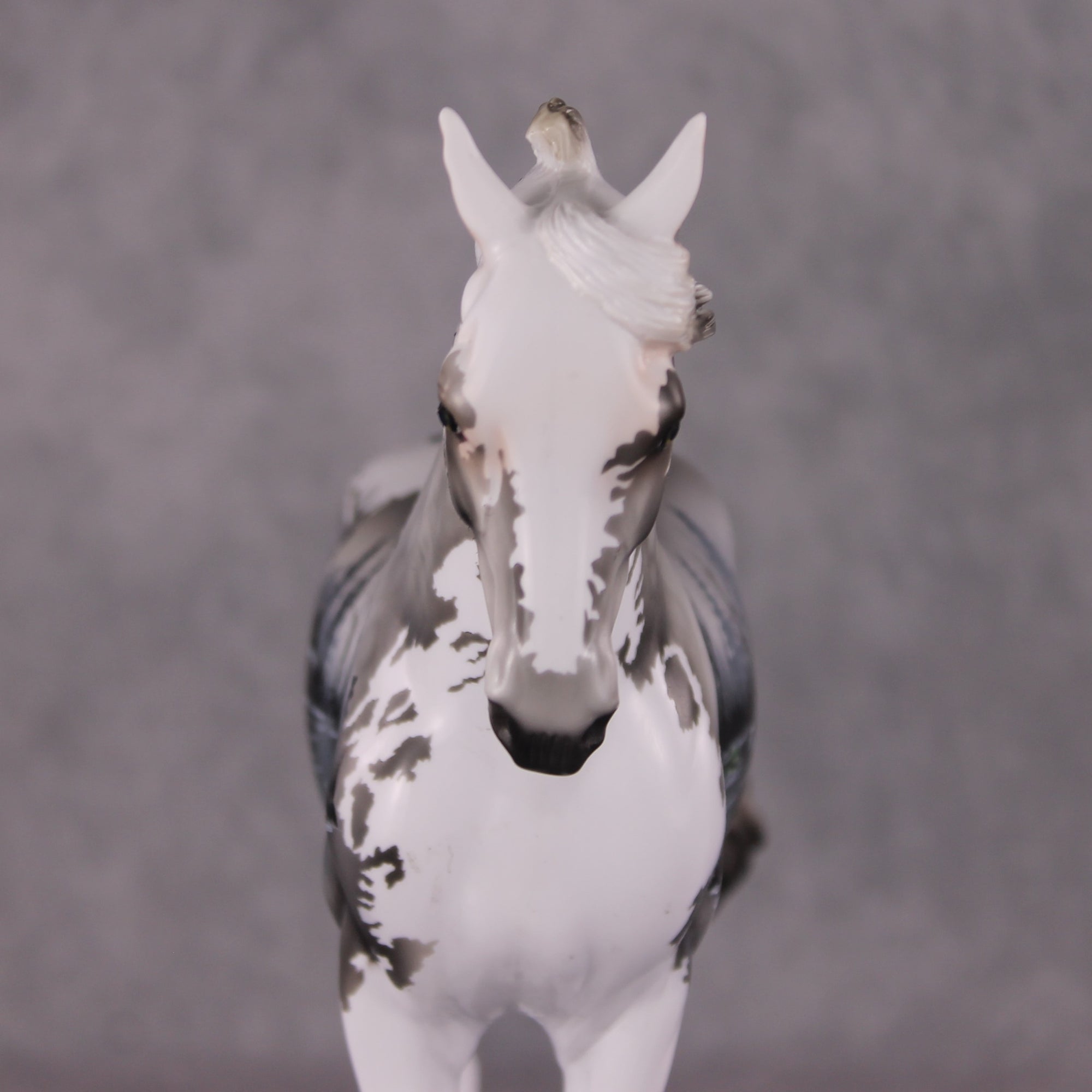 "Forrest" OOAK FCM Andalusian By Dawn Quick SHCF25