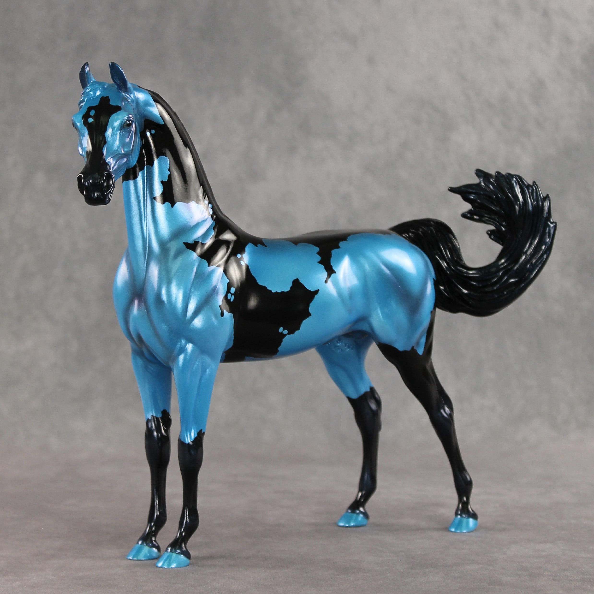 Betting on Blue EFCM OOAK Arabian Stallion by Melanie Miller TO26