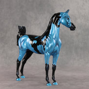 Betting on Blue EFCM OOAK Arabian Stallion by Melanie Miller TO26