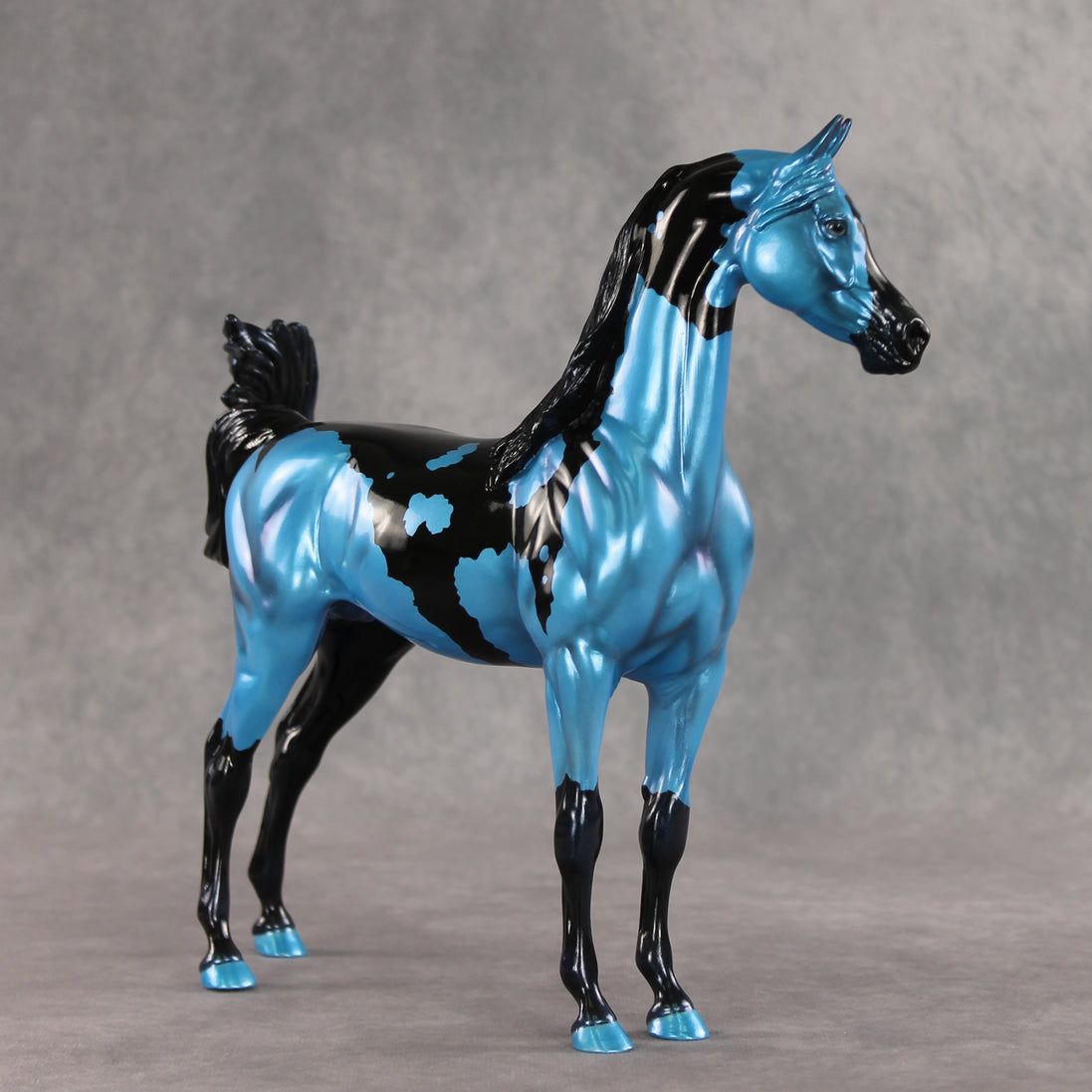 Betting on Blue EFCM OOAK Arabian Stallion by Melanie Miller TO26