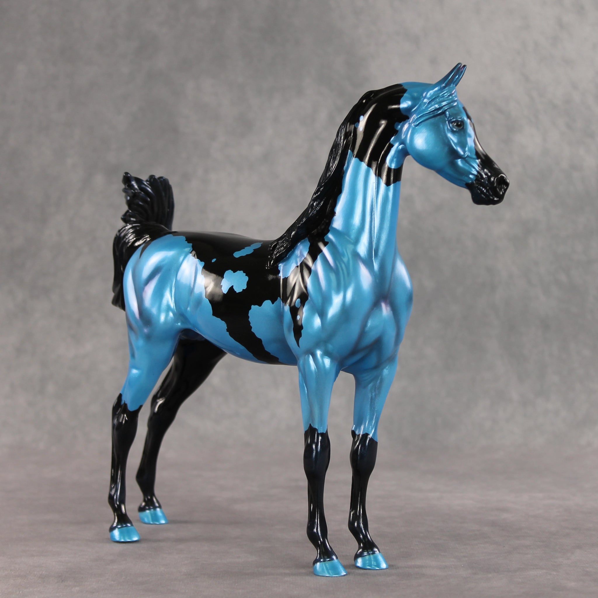 Betting on Blue EFCM OOAK Arabian Stallion by Melanie Miller TO26