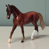 Wren OOAK Liver Chestnut Warmblood Chip By Jess Hamill EQ24