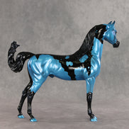 Betting on Blue EFCM OOAK Arabian Stallion by Melanie Miller TO26