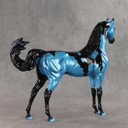 Betting on Blue EFCM OOAK Arabian Stallion by Melanie Miller TO26