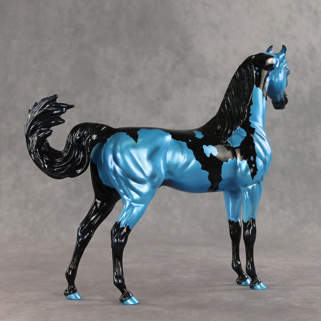 Betting on Blue EFCM OOAK Arabian Stallion by Melanie Miller TO26