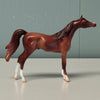 Thrush OOAK Chestnut Arabian Chip By Jess Hamill EQ24