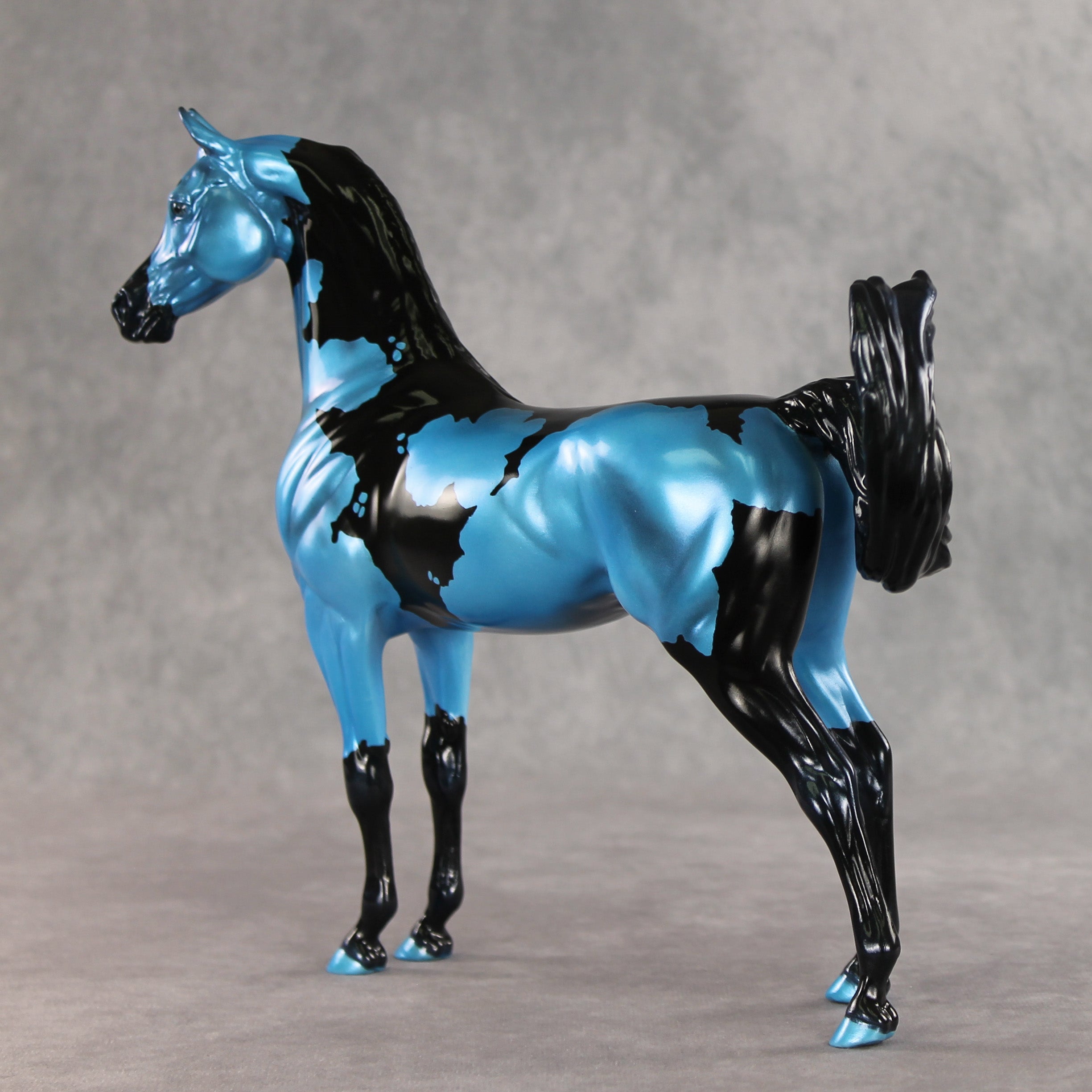 Betting on Blue EFCM OOAK Arabian Stallion by Melanie Miller TO26