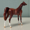 Thrush OOAK Chestnut Arabian Chip By Jess Hamill EQ24