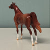 Thrush OOAK Chestnut Arabian Chip By Jess Hamill EQ24