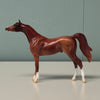 Thrush OOAK Chestnut Arabian Chip By Jess Hamill EQ24