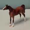 Thrush OOAK Chestnut Arabian Chip By Jess Hamill EQ24