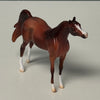 Thrush OOAK Chestnut Arabian Chip By Jess Hamill EQ24