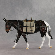 Gallivant LE-15 FCM Large Mule by Anna Rieck and Carissa Mathews PFP26