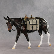 Gallivant LE-15 FCM Large Mule by Anna Rieck and Carissa Mathews PFP26